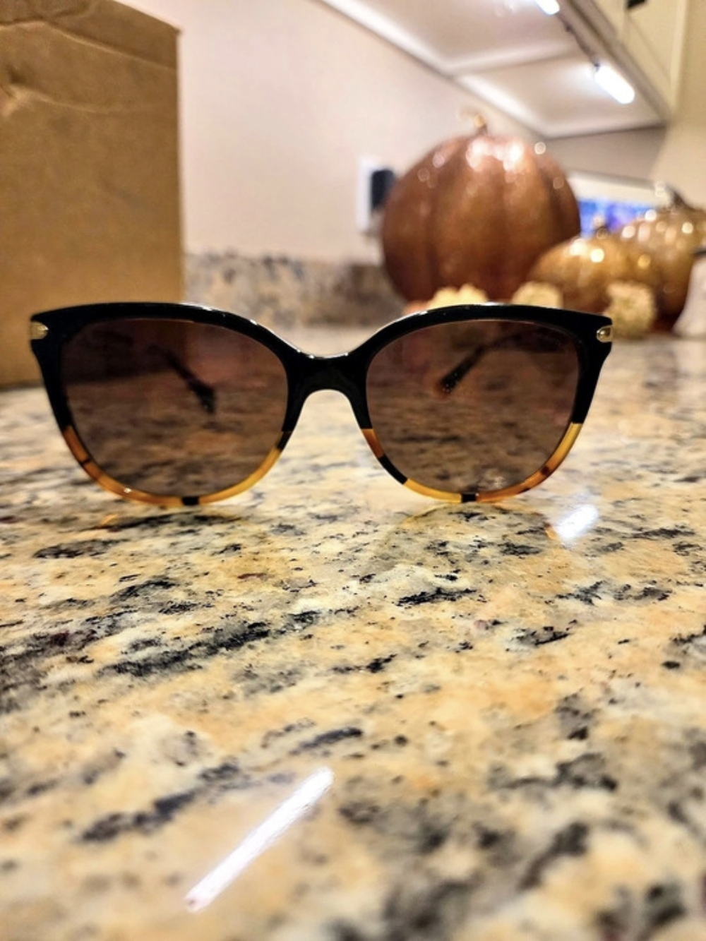 Coach HC8132 L109 Dark Tortoise Sunglasses Tortoiseshell Sunglasses